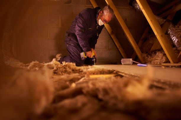 Best Insulation Maintenance and Repair in Westlake, TX