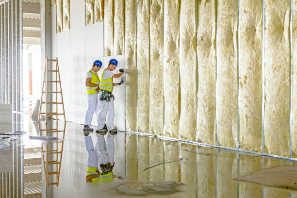 Best Residential Insulation in Westlake, TX